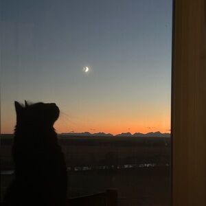 Meet your Posher, Melanie